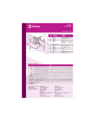 DN250  PN16 Pik Döküm Flanşlı Yaylı Çekvalf