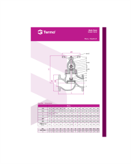 Termo  Glob Vana DN125 PN16 Pik Döküm