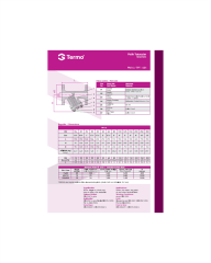 Termo  Y Tip Flanşlı Pislik Tutucu DN20 PN16 Pik Döküm
