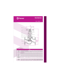 Termo DN25 PN16 Pik Döküm Metal Körüklü Vana