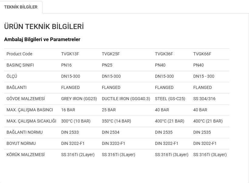 Termo DN65 PN16 Pik Döküm Metal Körüklü Vana