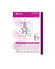 Termo DN125 PN16 Pik Döküm Pistonlu Vana
