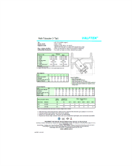 DN80 PN16 Y Tip Flanşlı Pislik Tutucu (Valftek) Pik Döküm