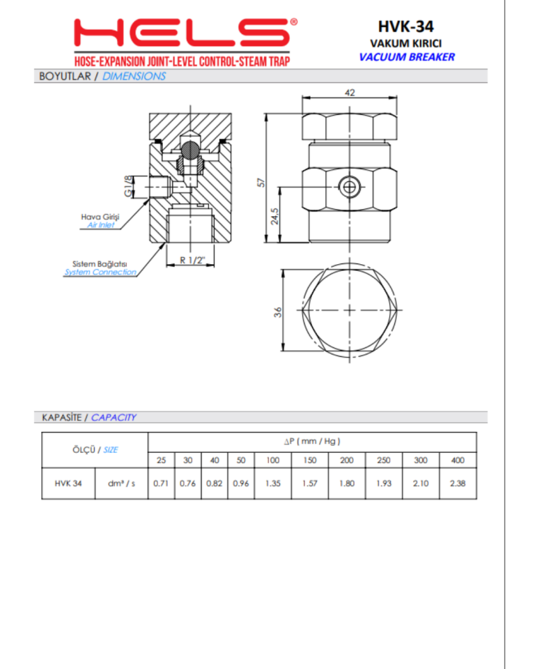 3/4'' HVK-34 Paslanmaz Vakum Kırıcı – 21 Bar | Dikey Montaj | Yüksek Sıcaklık Dayanımı