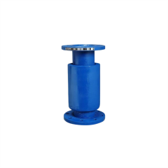 DN50 Dıştan Basınçlı Kompansatör 60mm
