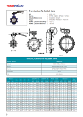 DN100 Lug Paslanmaz 304 Klapeli Epdm Contalı Kelebek Vana