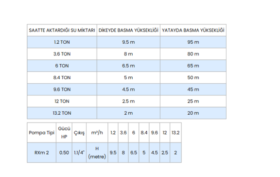 Pedrollo RXm 2 Flatörlü Full Paslanmaz Drenaj Otomatik & Dalgıç Pompa