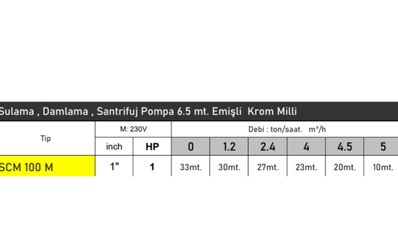 Vortex SCM100 1 HP  Santrifüj Pompa | 6,5 m Emiş, Krom Milli, Yüksek Performans