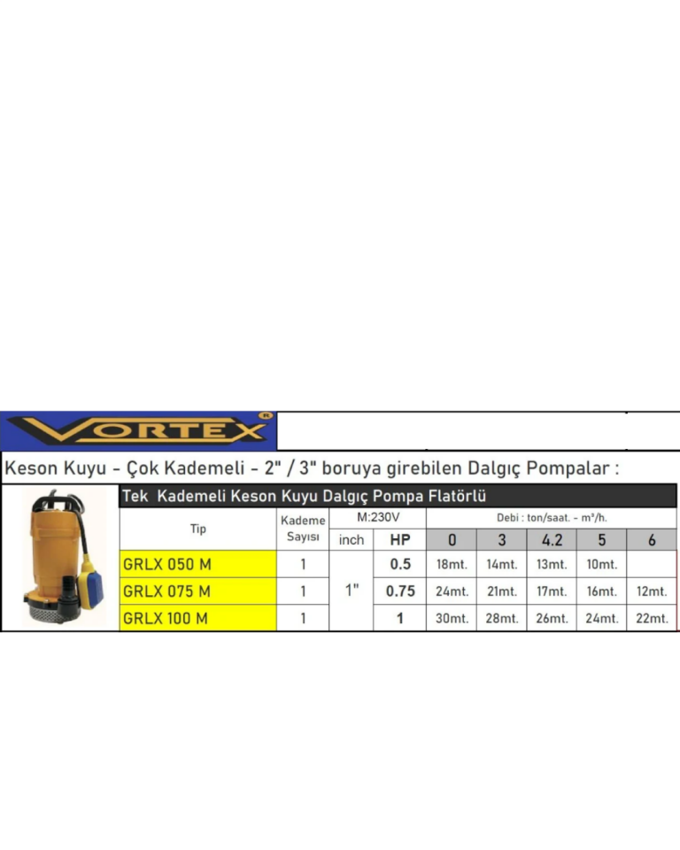 Vortex Grlx 100M  1 HP Tek Kademeli Keson Kuyu Dalgıç Pompa