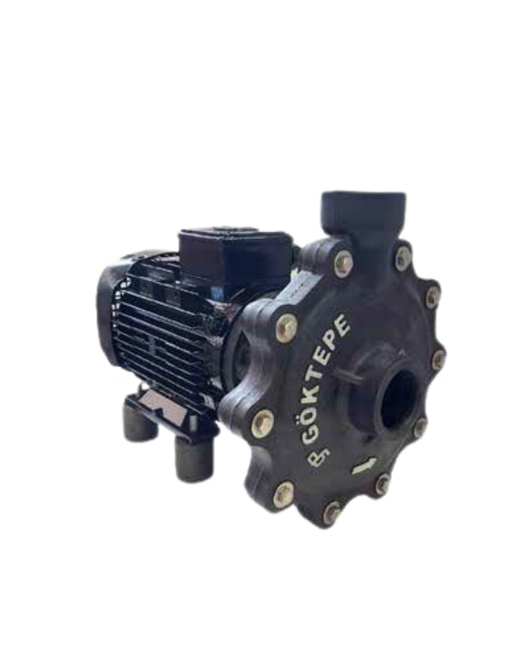 Göktepe TGP200 2HP Salyangoz  Tek Kademeli Monoblok Santrifüj Yüksek Asit Pompası