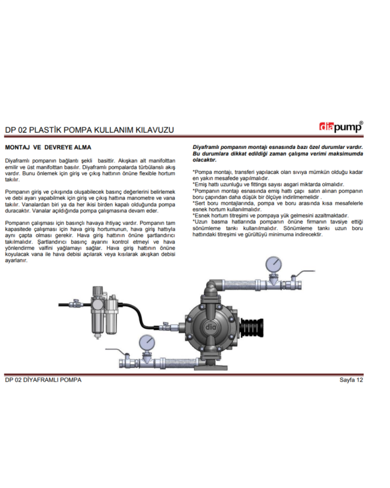 DP 02 PP-T Plastik Diyaframlı Pompa Plastik Polipropilen Gövde Teflon Diyaframlı Havalı Pompa 16 Lt/Dk 70 Mss 7 Bar 1/4 inch