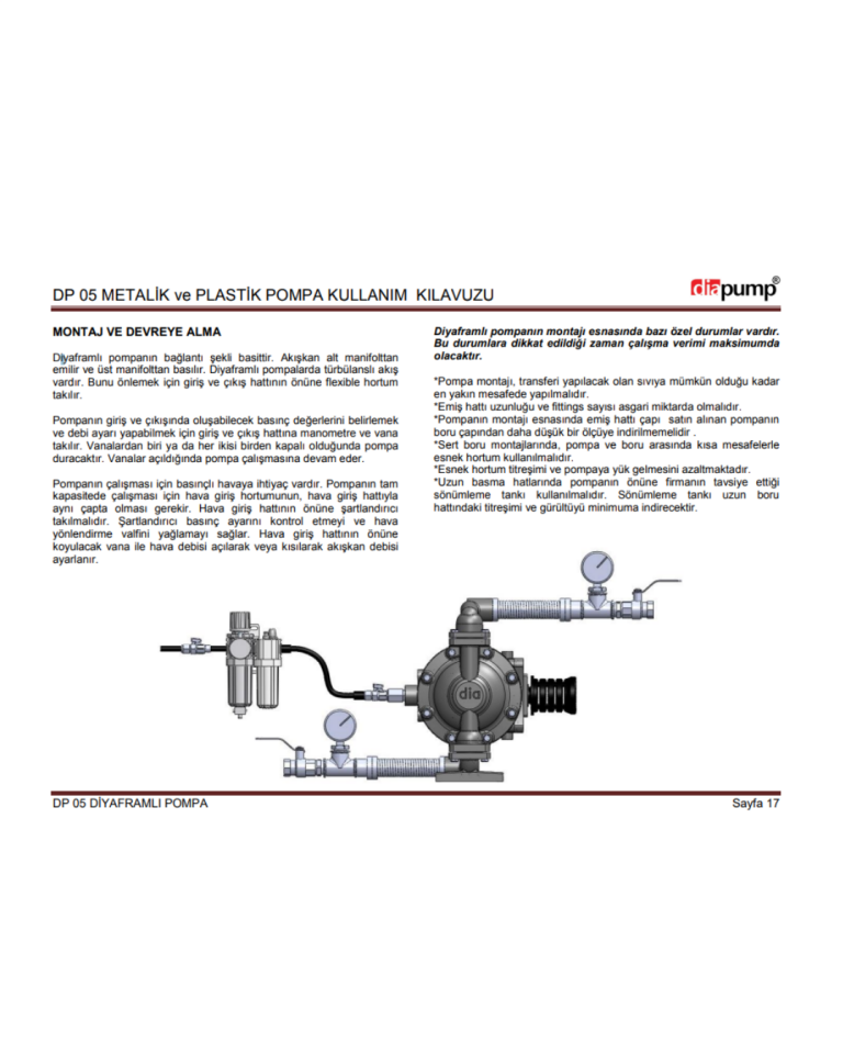 DP 06 PB-SC Plastik Diyaframlı Pompa Plastik Polipropilen Gövde Santoprene Diyaframlı 316 Paslanmaz Toplu Havalı Pompa 16 Lt/Dk 70 Mss 7 Bar 1/4 inch