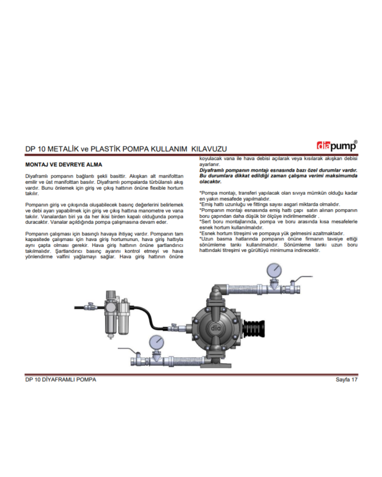 DP 10 PVDF-T Teflon Gövdeli Diyaframlı Pompa Teflon Gövde Teflon Diyaframlı Teflon  Toplu  Havalı Pompa 160 Lt/Dk 84 Mss 8,4 Bar 1/2 inch Hava Girişli